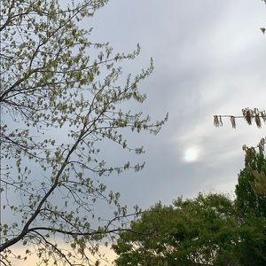 Meet your Posher, Malia